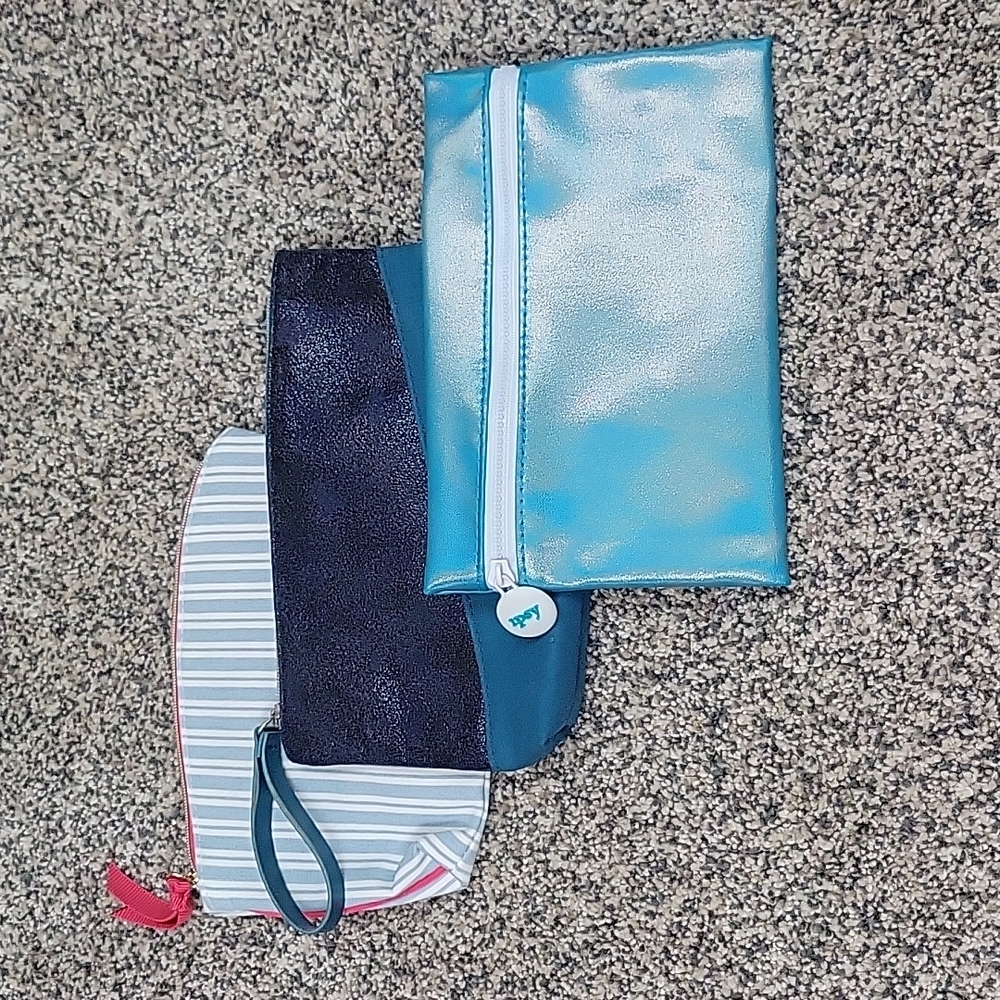Ipsy Cosmetic Bag
